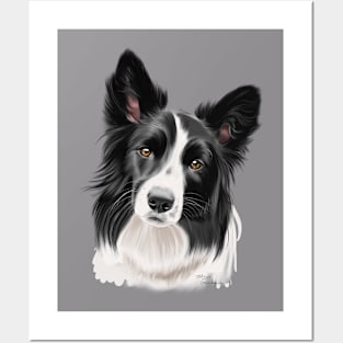 Border Collie Posters and Art